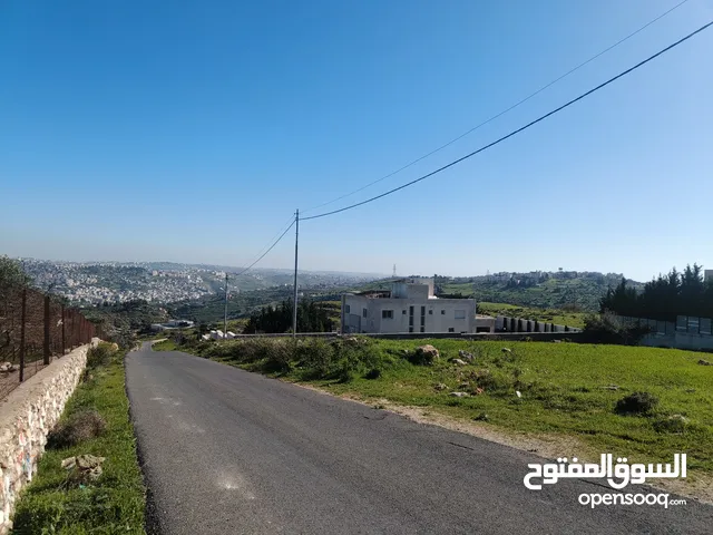 Residential Land for Sale in Amman Al-Fuhais