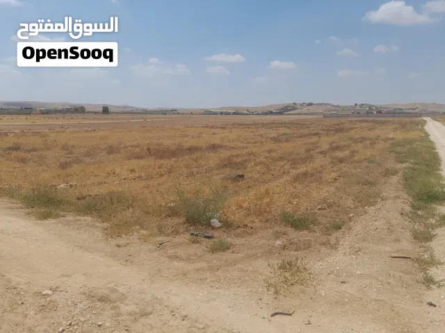 Farm Land for Sale in Mafraq Bala'ama
