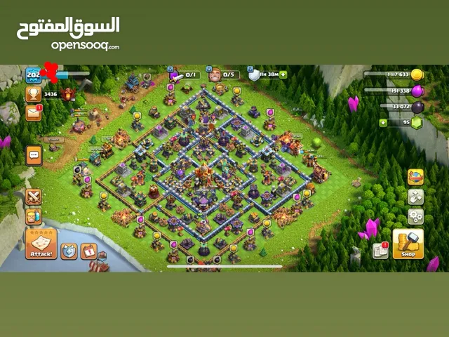 Clash of clan acc for sell 16 town hall getting max army max spells max king and queen many skins