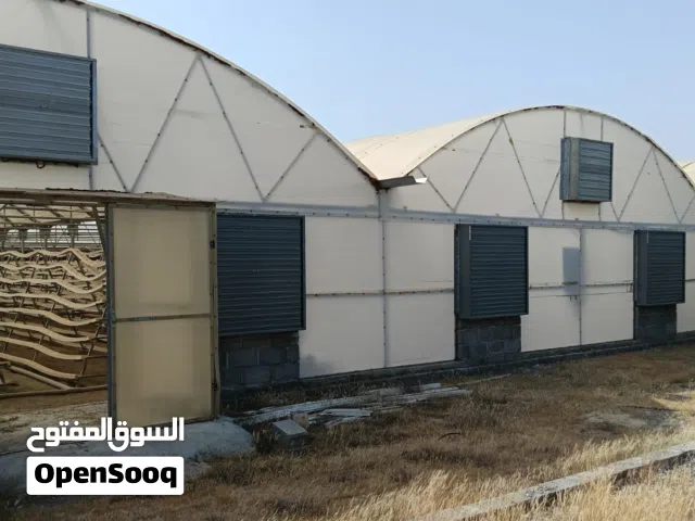 عنابر زراعيه مائيه (بيوت محميه للزراعه )