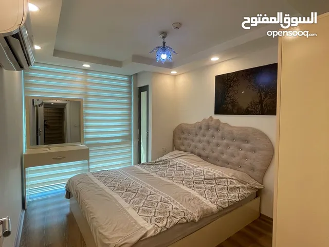 apartment for rent in live tower in Erbil