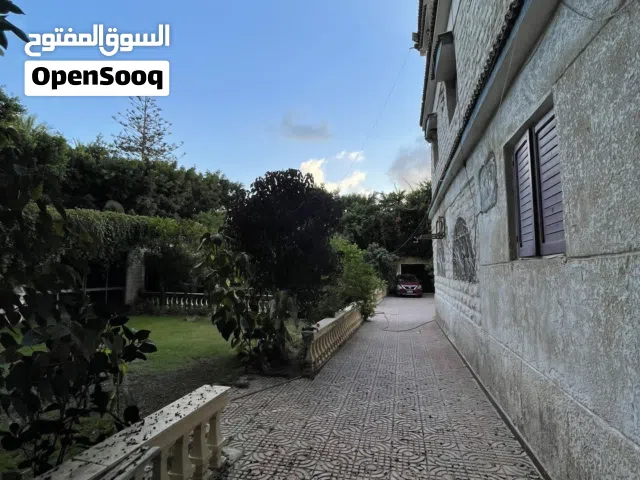 فيلا راقيه مفروشه مساحه كبيره عائليه