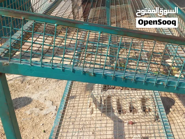 مناصب للخضار بحاله ممتازه بسعر مغري