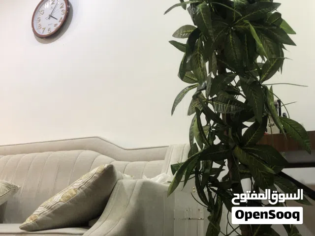 جدا جدا جدا جدا جميل