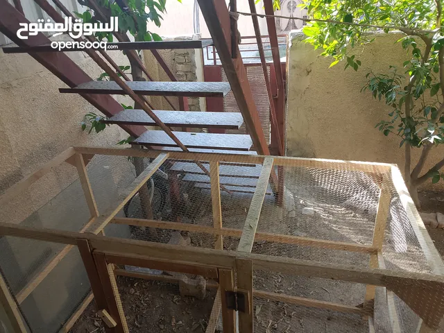 قفص دجاج كبير للبيع وبسعر مناسب جداً