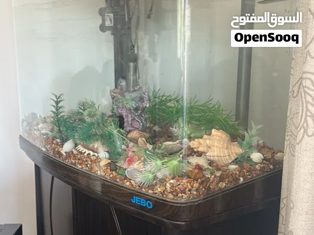 حوض أسماك كبير، مع خزانتين- زينة مجانية