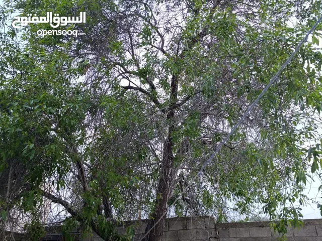 170 m2 5 Bedrooms Townhouse for Sale in Jenin Al Araqa