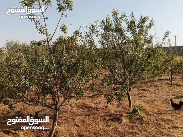  Building for Sale in Benghazi Al-Talhia