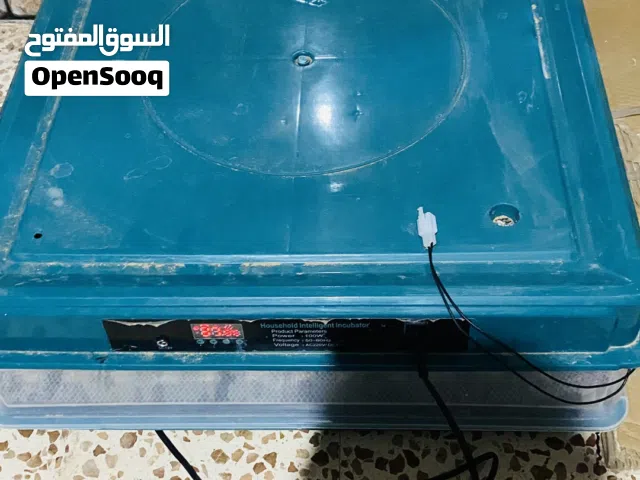 فقصات دجاج