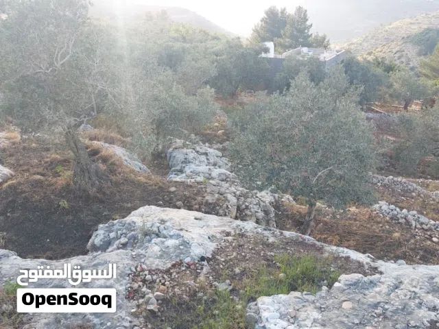 قطعة أرض 2333 متر في بيت ريما