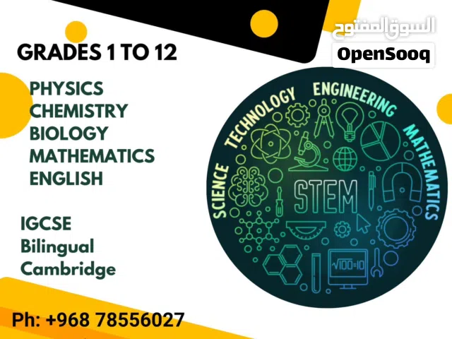 Math mathematics and physics teacher