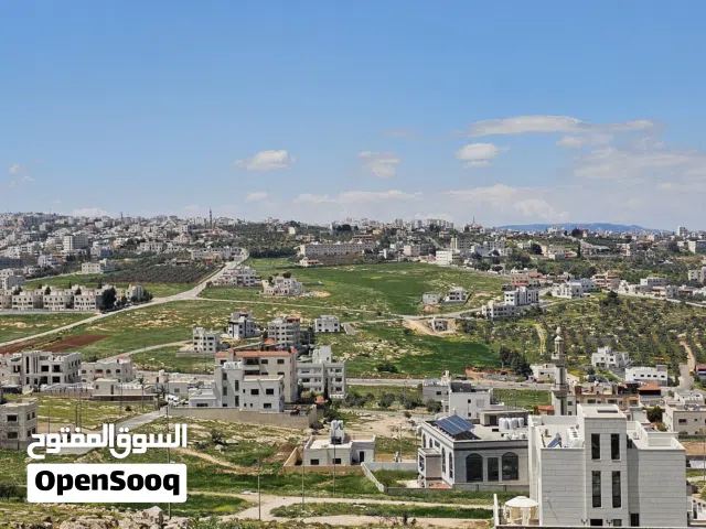 Residential Land for Sale in Amman Uyun Al-Dhib