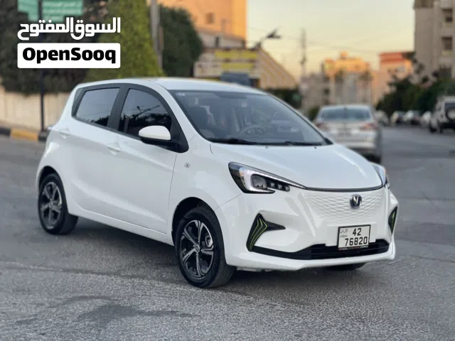 2023 Changan E-Star