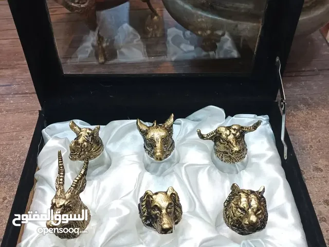 کاس شوت بتصمیم حیوانی
