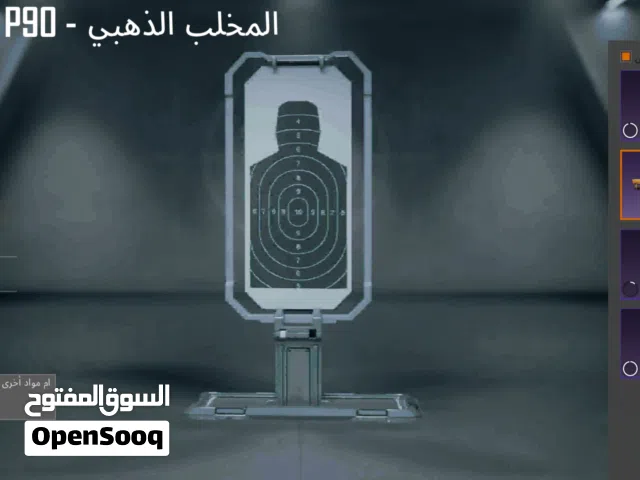 Pubg Accounts and Characters for Sale in Tripoli