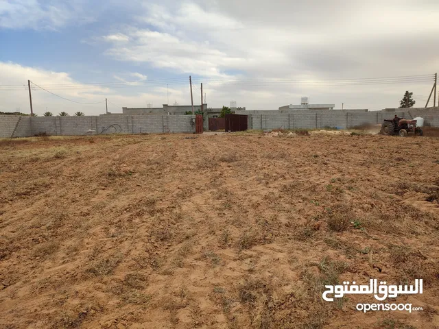 2000 متر للبيع