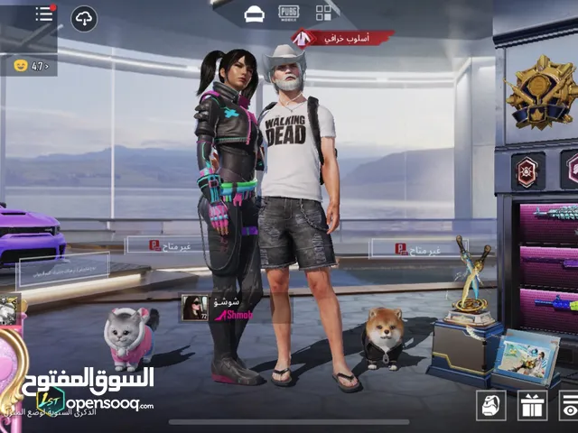 Pubg Accounts and Characters for Sale in Madaba