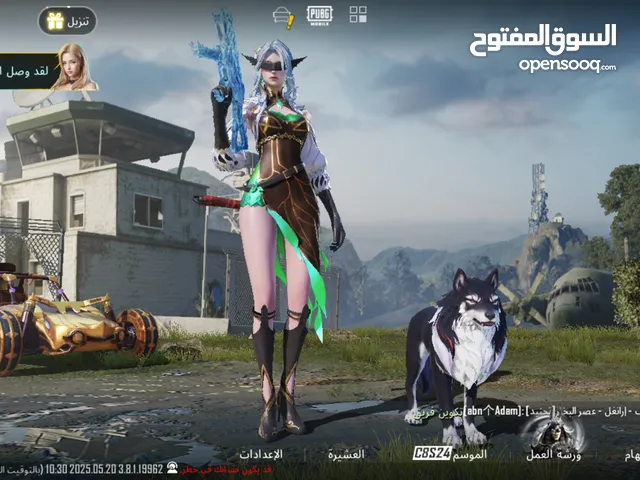 Pubg Accounts and Characters for Sale in Jenin