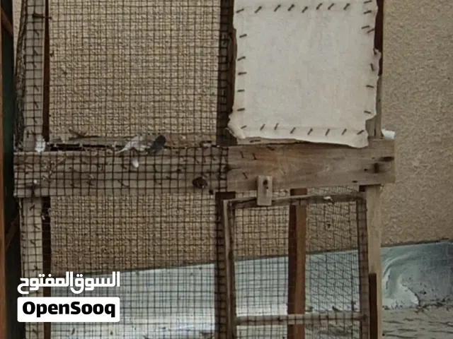 خغي5هس74شعقسما