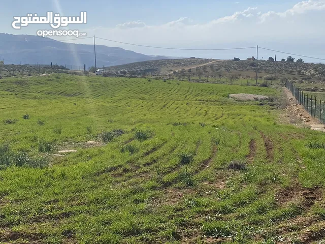 Mixed Use Land for Sale in Amman Naour