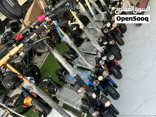 E10  electric scooter