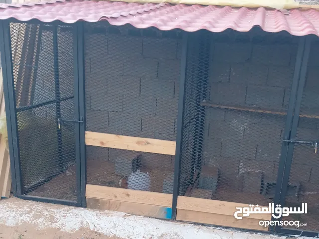 بركة دجاج او كلب حشكم أو طيور الطول 3مثر