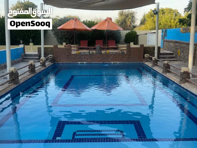 مزرعة الحليو للايجار اليومي