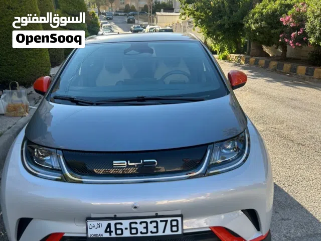 2022 BYD Dolphin