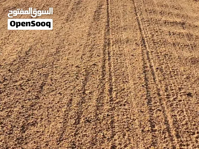 Farm Land for Sale in Sabha Other