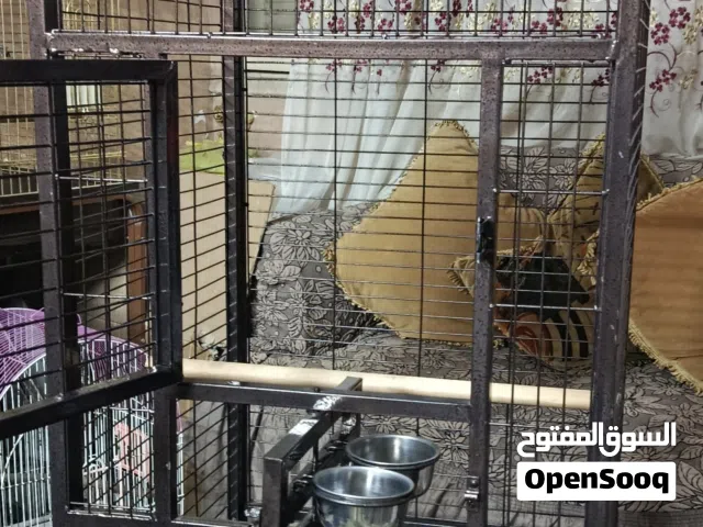 متاح للبيع اقفاص ببغاء عموله شغل محمل فك وتركيب اشكال مختلفه تصلح لجميع انواع الطيور