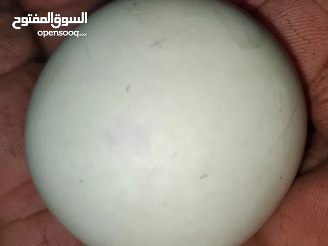 الماس السداسي ألون سوداريت الوزن 117 جرام
