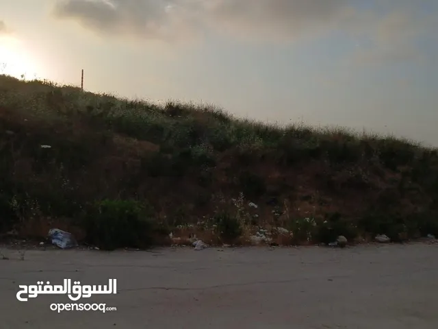 Mixed Use Land for Sale in Sidon Other