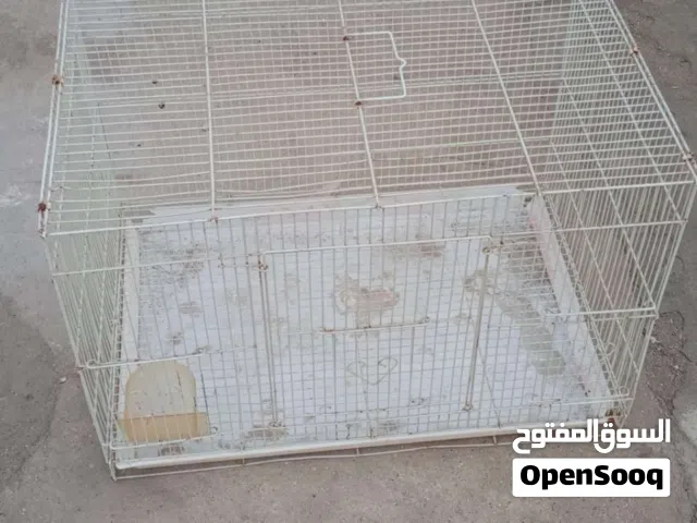 قفص طيور نظيف
