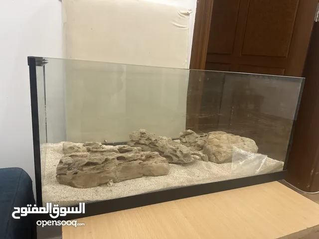 Fish aquarium