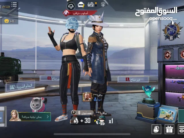 Pubg Accounts and Characters for Sale in Salt