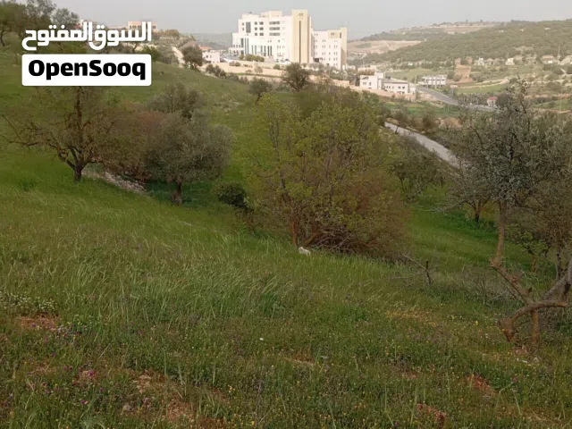 ارض للبيع عبين قرب مستشفى الاميره هيا العسكري