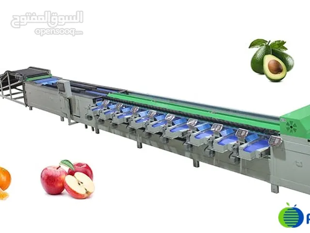 Fruit Sorting Machine