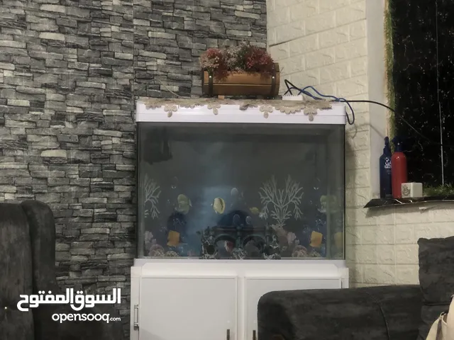 حوض اسماك (مع كامل محتوياته)
