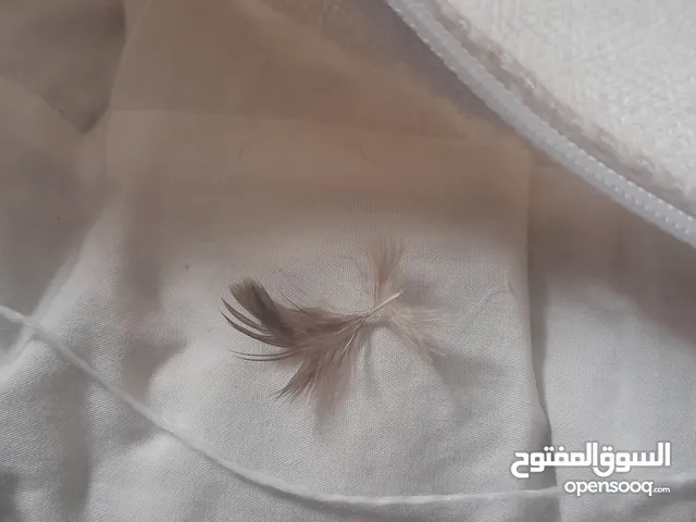 مخدات  حشوة من الريش نظيفة مغسلة جاهزة لظهريات الكنب