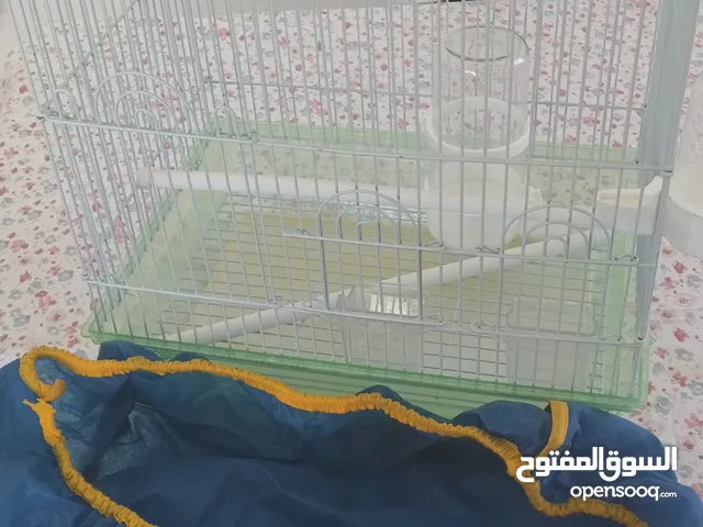 Bird cage with accessories