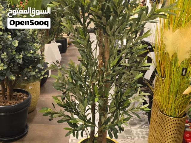 من لديه الخبرة والقدرة تنسيق فازات واحواض زهور  ونبتات صناعية