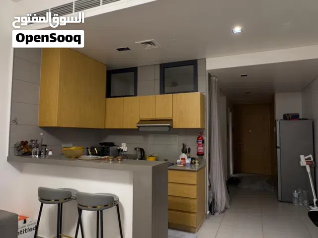 45 m2 Studio Apartments for Sale in Sharjah Muelih Commercial