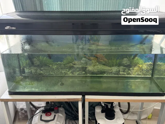 Fish Tank 115 Cm aquarium