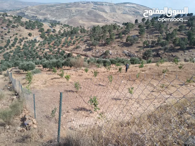 Farm Land for Sale in Jerash Al-Kittah