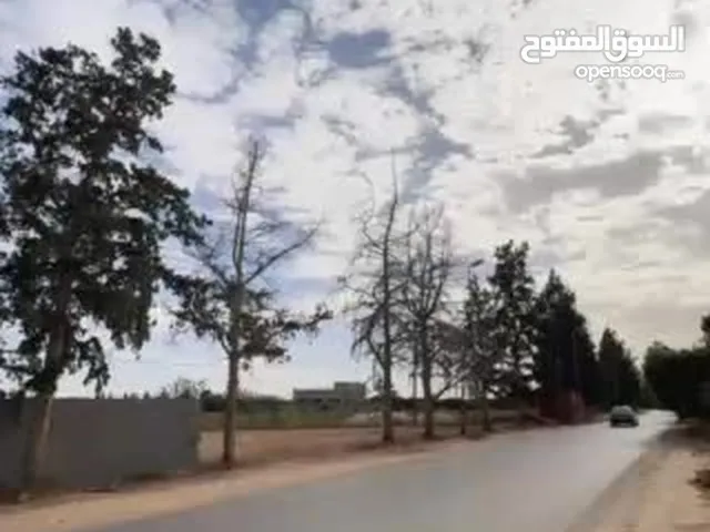 Residential Land for Sale in Zawiya Western Zawiya