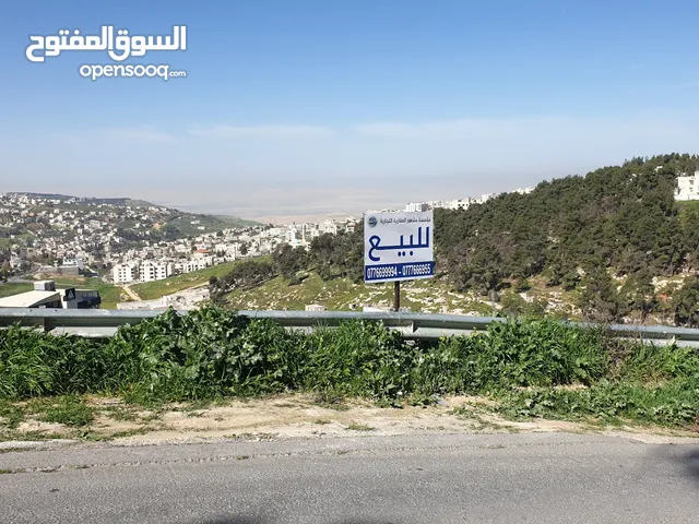 Residential Land for Sale in Amman Naour