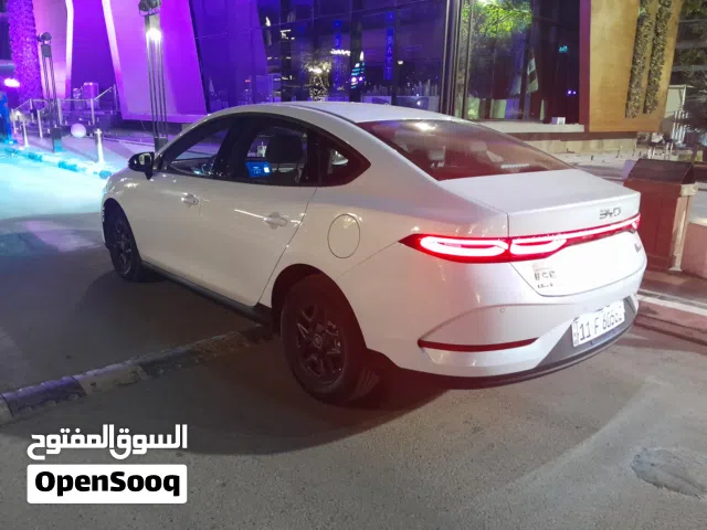 2025 بي واي دي كين