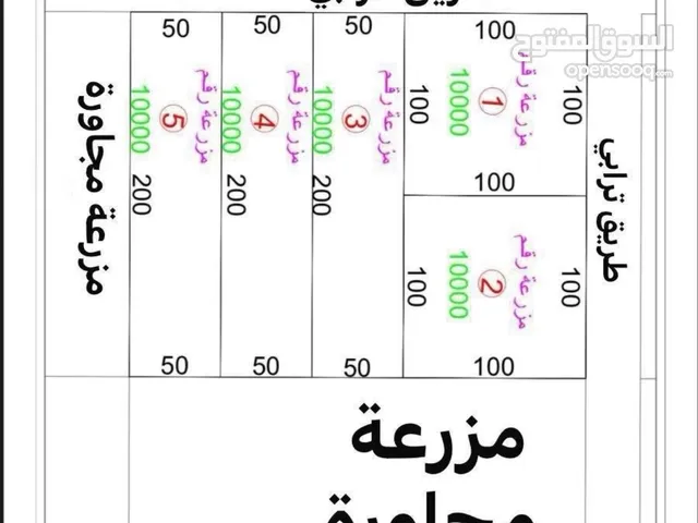 Farm Land for Sale in Al Jahra Abdali