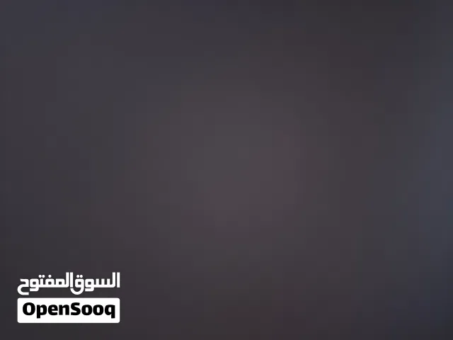 للبيع دجاج عربي العداد 30