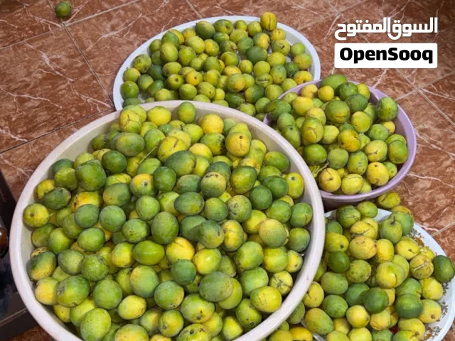 مانجو (لمبا ) الكيلو ب ريال